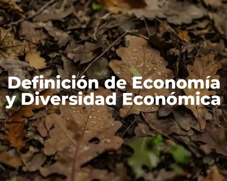 Definición de Economía y Diversidad Económica
