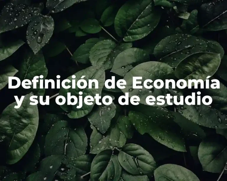 Definición de Economía y su objeto de estudio