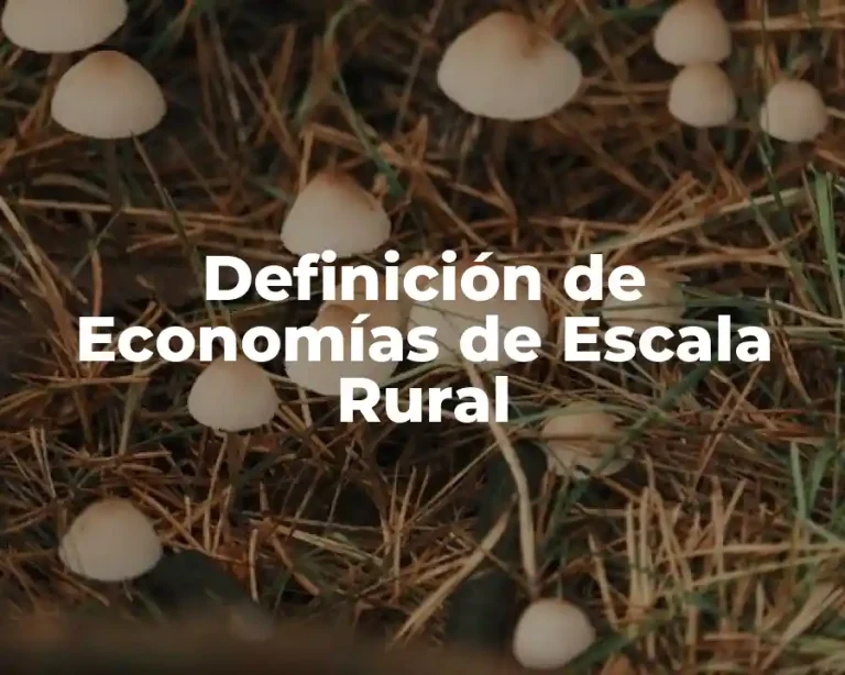 Definición de Economías de Escala Rural