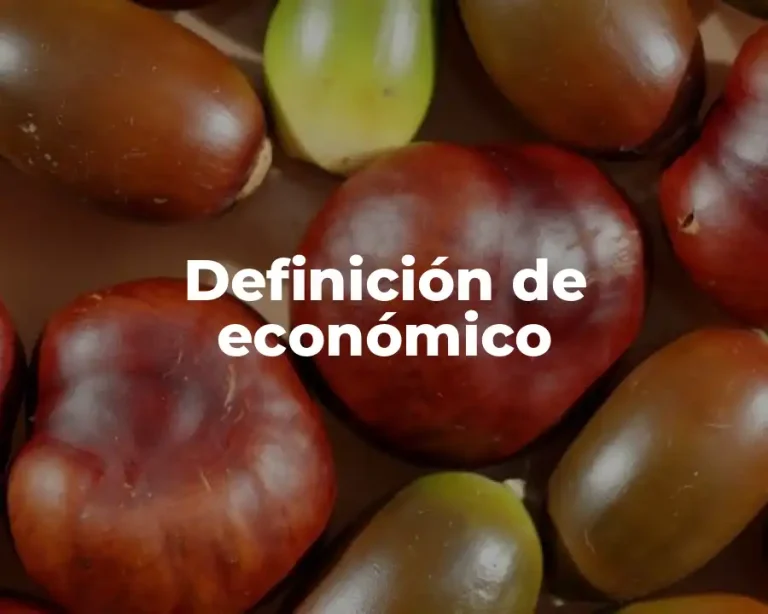 Definición de económico