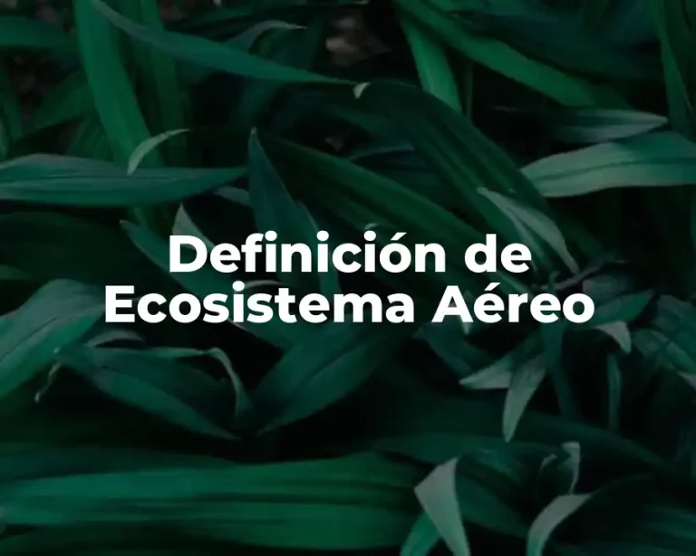 Definición de Ecosistema Aéreo