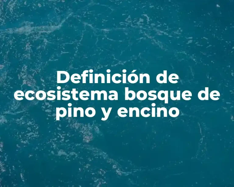 Definición de ecosistema bosque de pino y encino