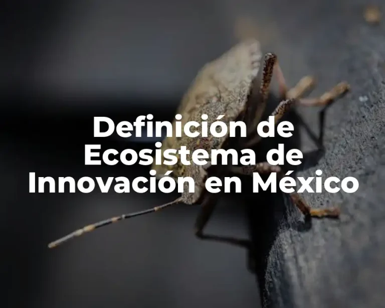 Definición de Ecosistema de Innovación en México