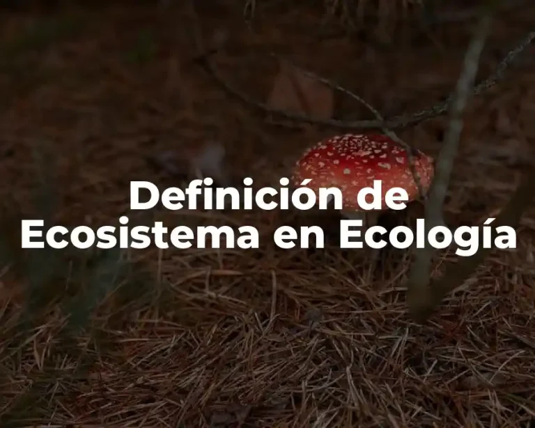 Definición de Ecosistema en Ecología