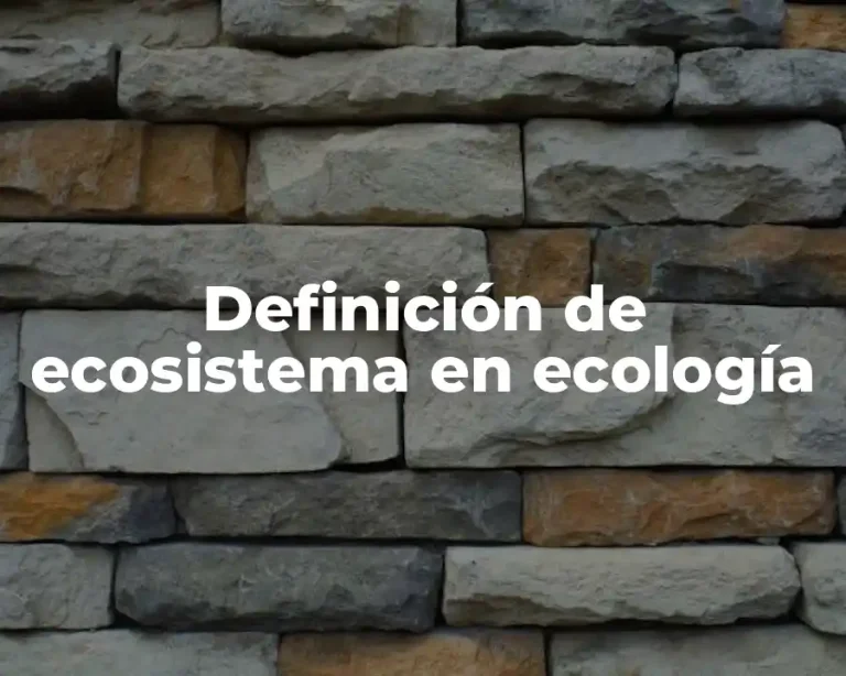 Definición de ecosistema en ecología
