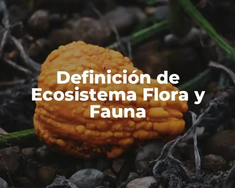 Definición de Ecosistema Flora y Fauna