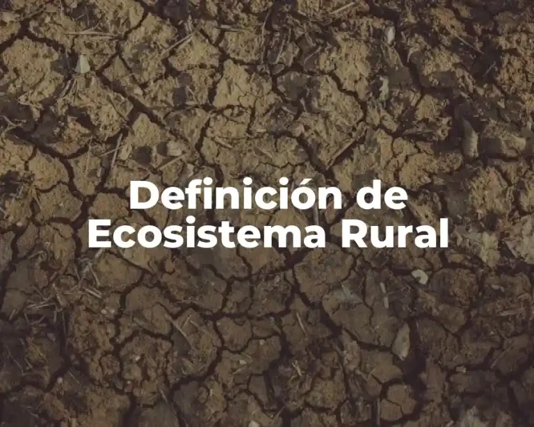 Definición de Ecosistema Rural