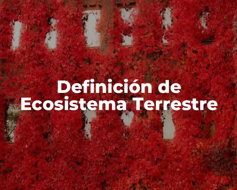 Definición de Ecosistema Terrestre