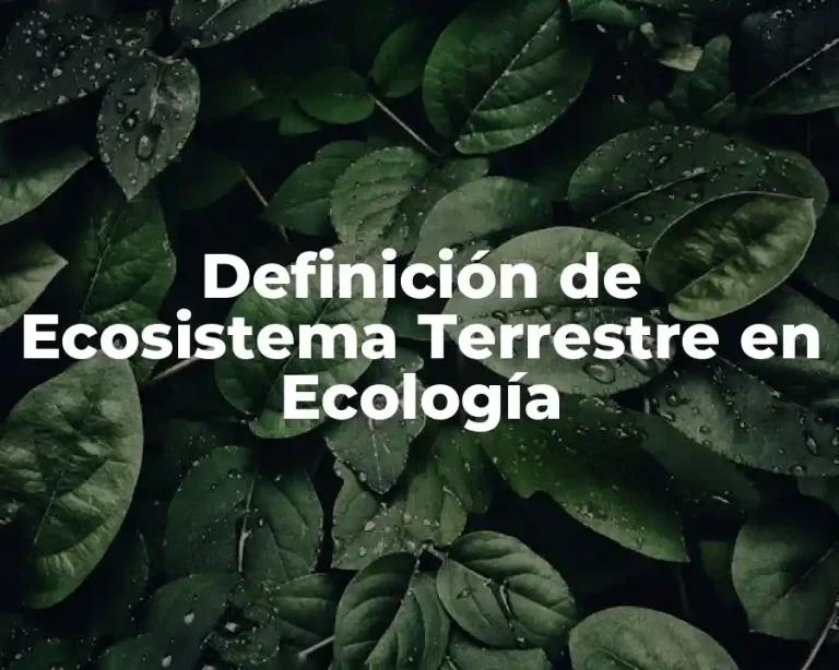 Definición de Ecosistema Terrestre en Ecología