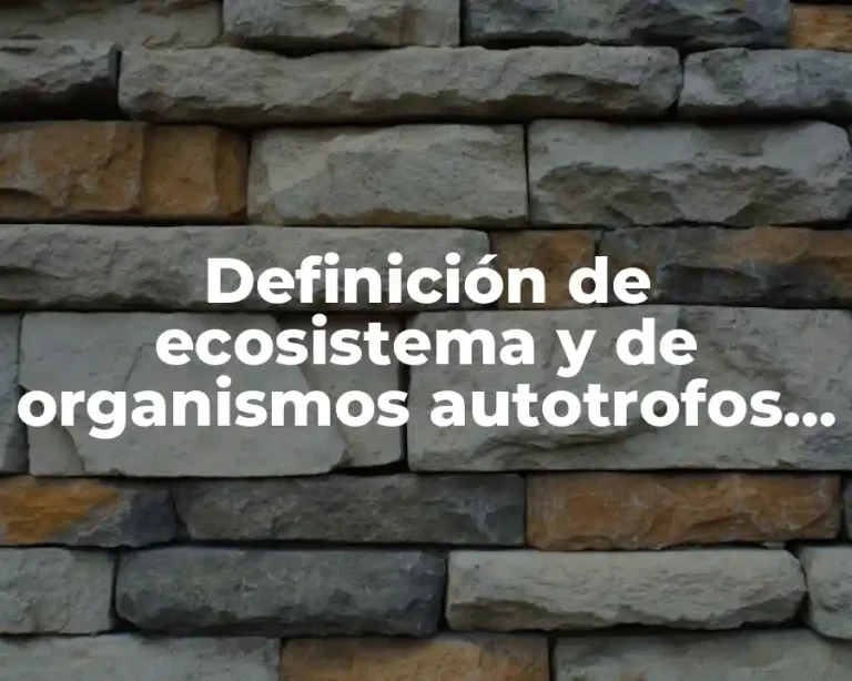 Definición de ecosistema y de organismos autotrofos y heterotrofos