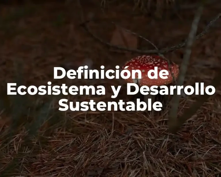 Definición de Ecosistema y Desarrollo Sustentable