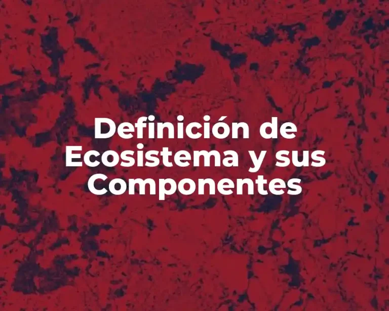 Definición de Ecosistema y sus Componentes