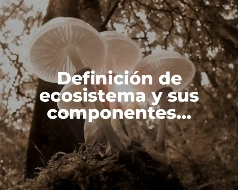 Definición de ecosistema y sus componentes estructurales y funcionales
