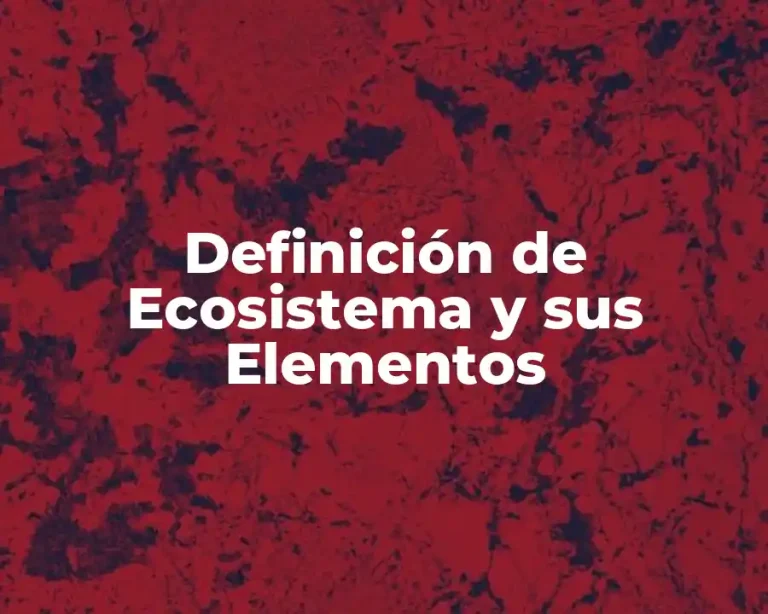 Definición de Ecosistema y sus Elementos