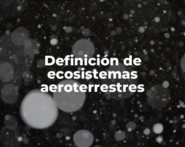Definición de ecosistemas aeroterrestres