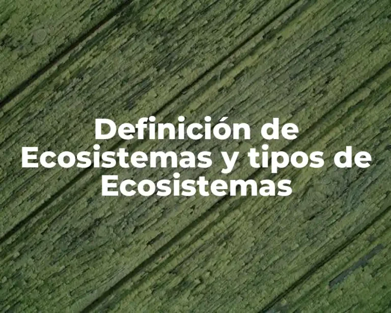 Definición de Ecosistemas y tipos de Ecosistemas
