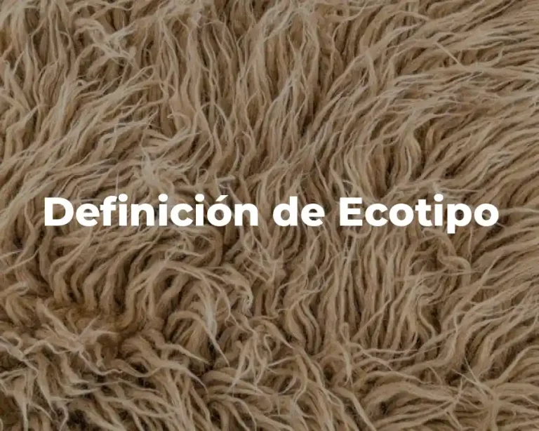 Definición de Ecotipo