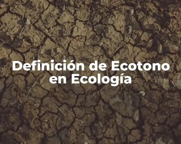 Definición de Ecotono en Ecología