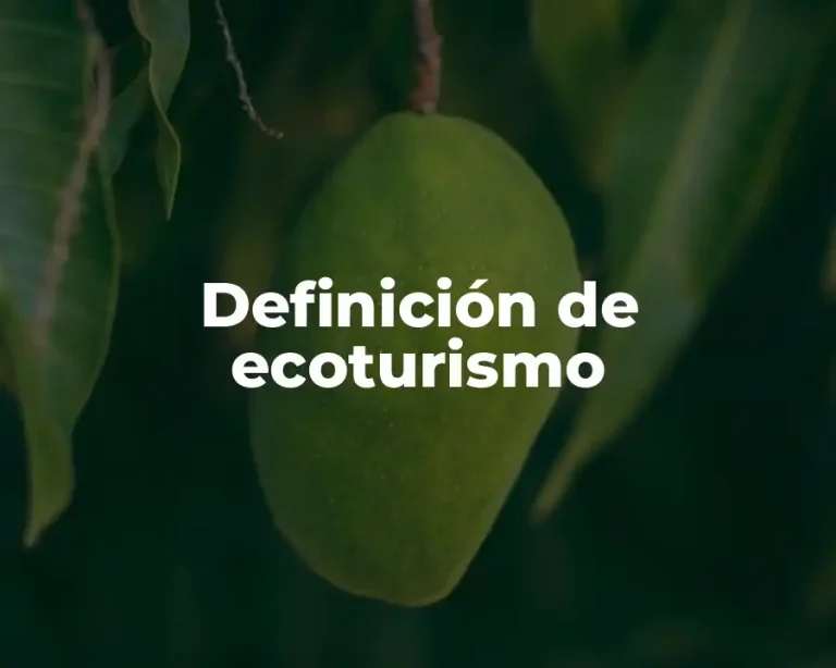 Definición de ecoturismo