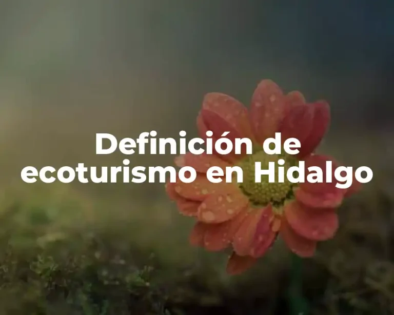 Definición de ecoturismo en Hidalgo