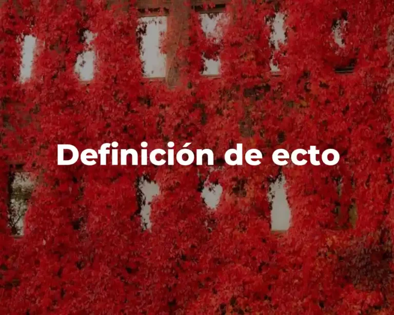 Definición de ecto