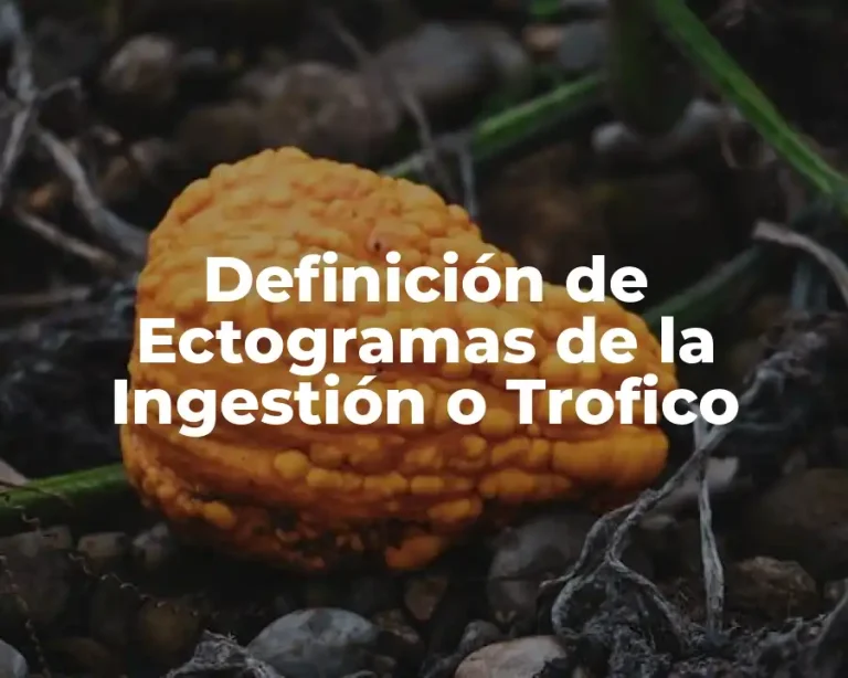 Definición de Ectogramas de la Ingestión o Trofico