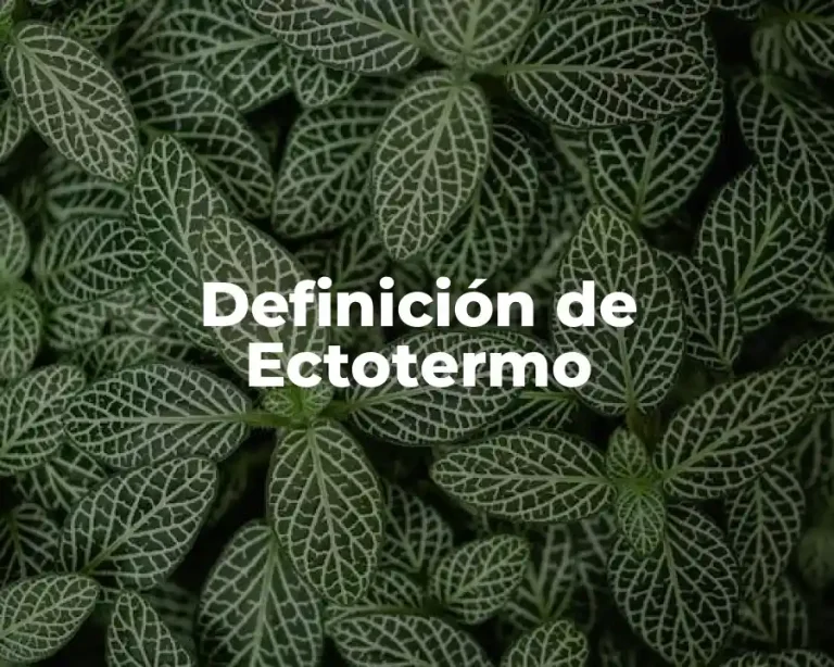 Definición de Ectotermo
