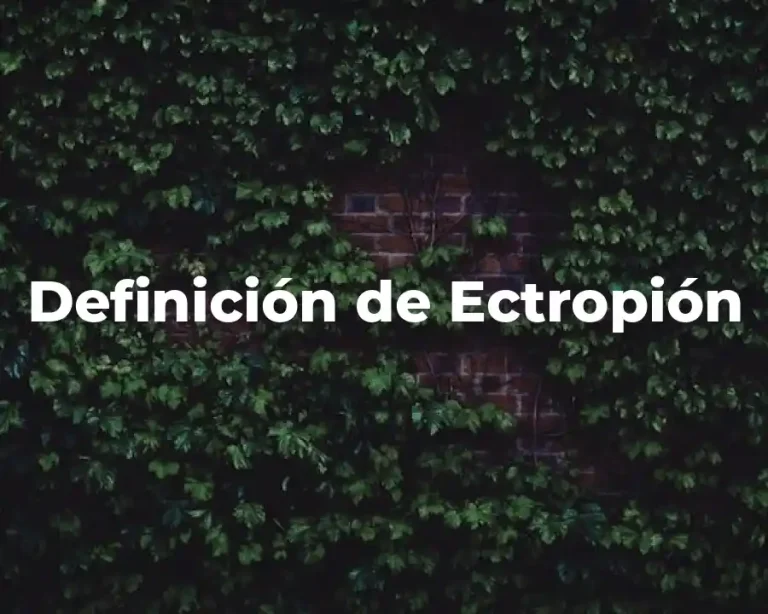 Definición de Ectropión