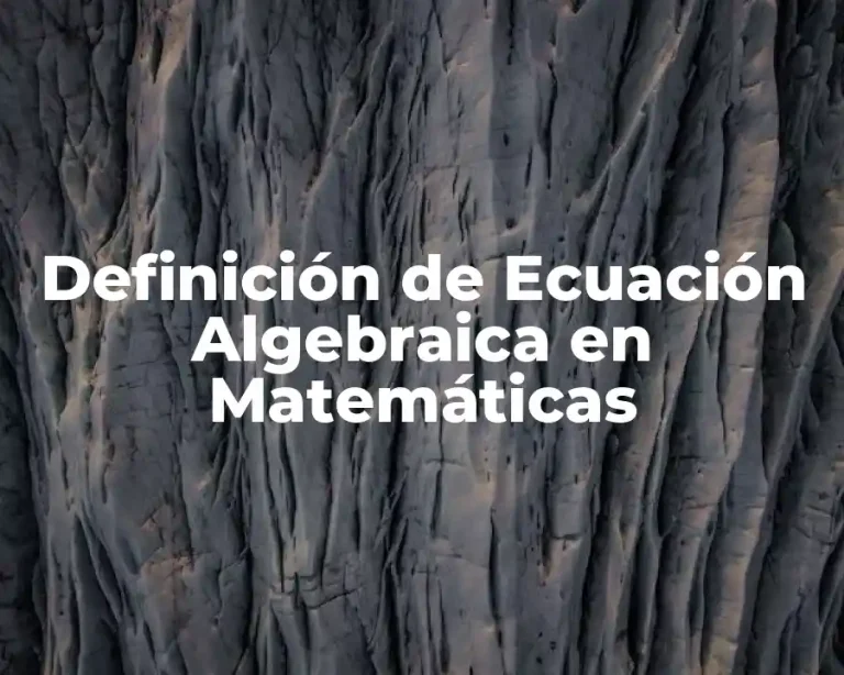 Definición de Ecuación Algebraica en Matemáticas