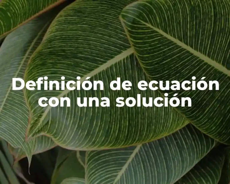 Definición de ecuación con una solución