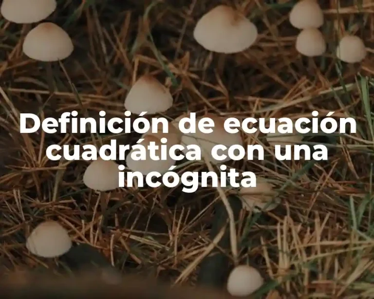 Definición de ecuación cuadrática con una incógnita