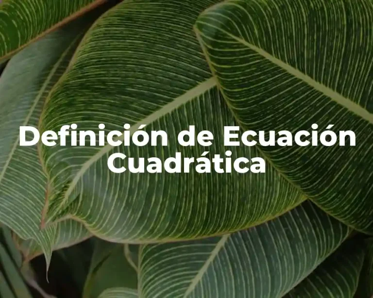Definición de Ecuación Cuadrática