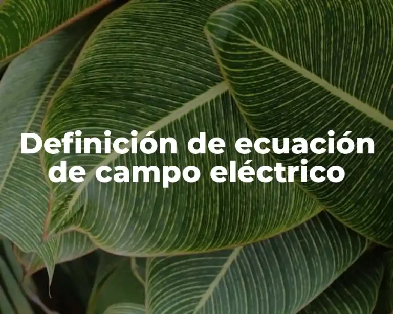 Definición de ecuación de campo eléctrico