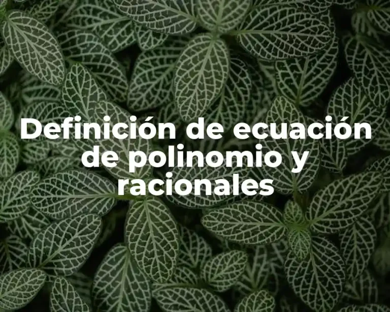 Definición de ecuación de polinomio y racionales