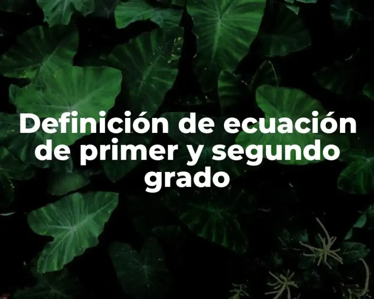 Definición de ecuación de primer y segundo grado