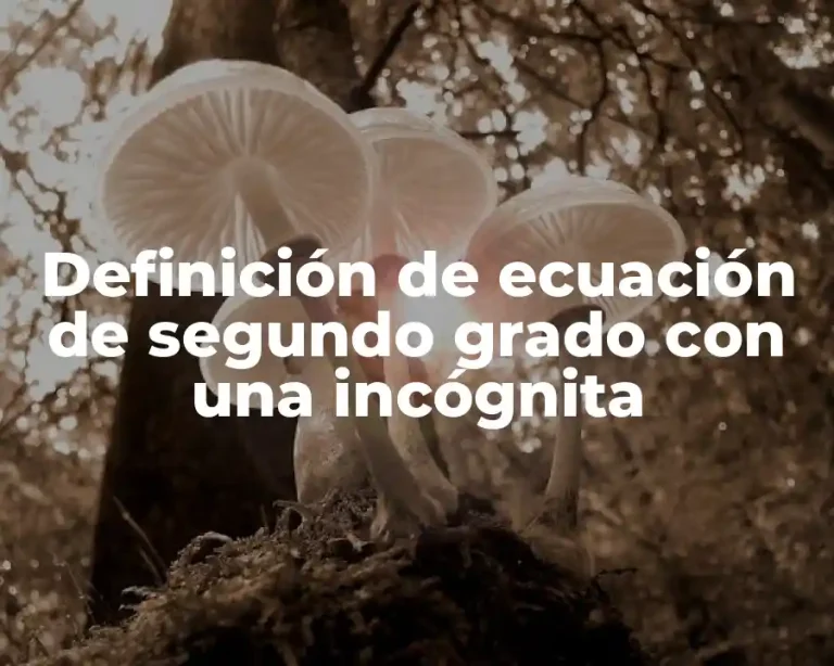 Definición de ecuación de segundo grado con una incógnita