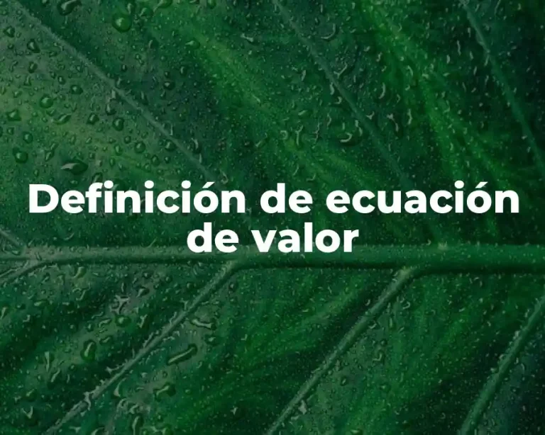 Definición de ecuación de valor