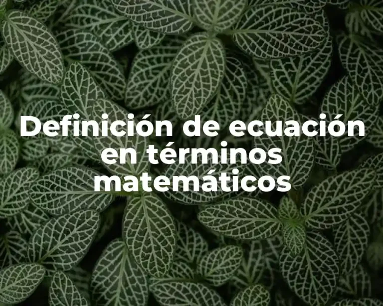 Definición de ecuación en términos matemáticos