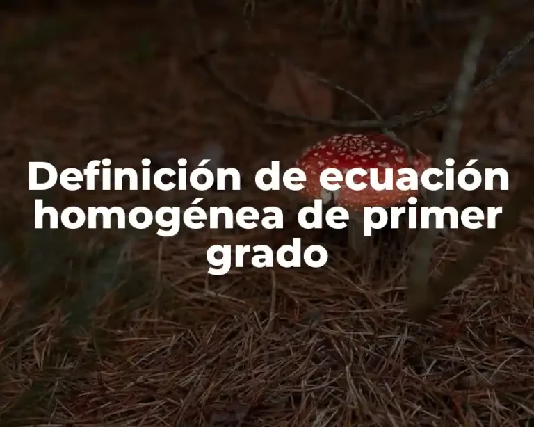 Definición de ecuación homogénea de primer grado