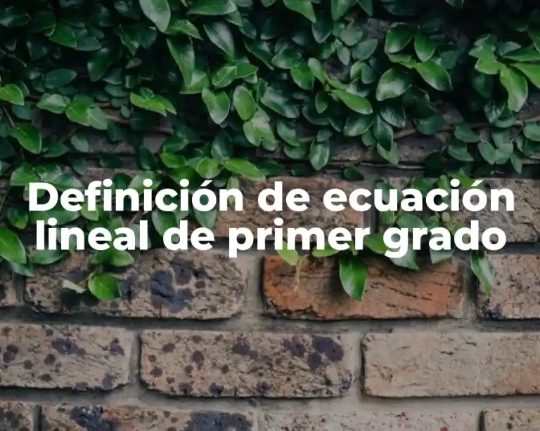 Definición de ecuación lineal de primer grado
