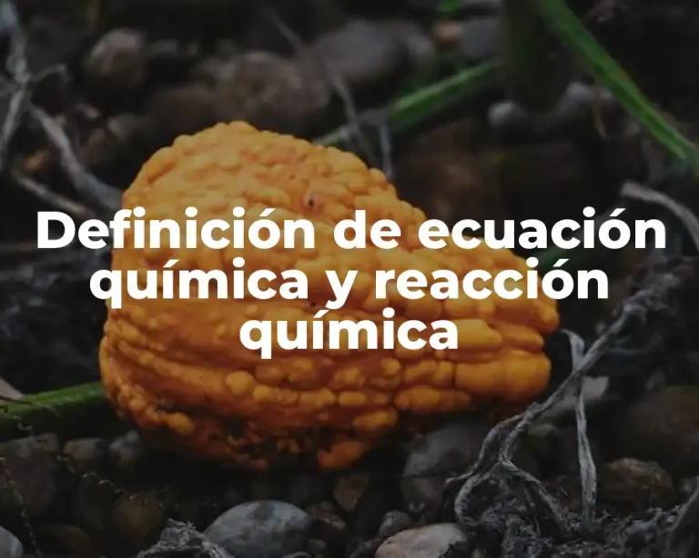 Definición de ecuación química y reacción química