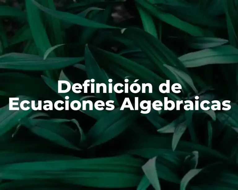 Definición de Ecuaciones Algebraicas