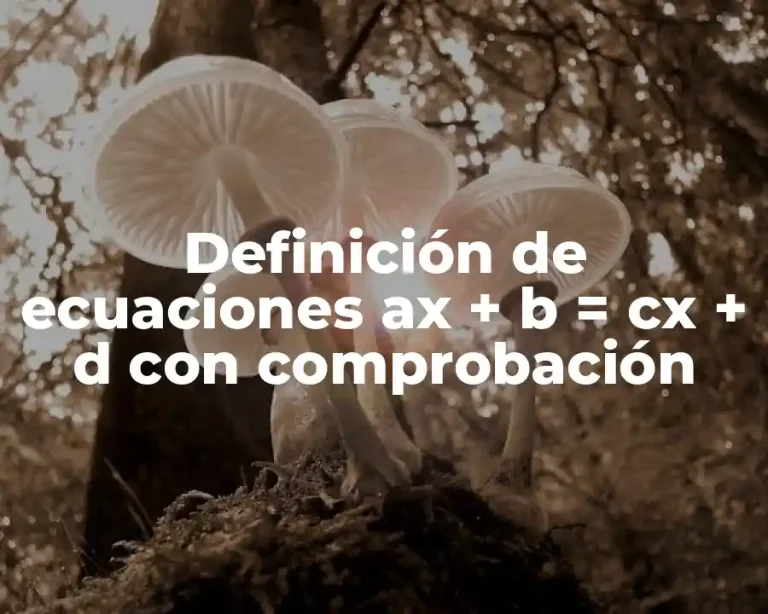Definición de ecuaciones ax + b = cx + d con comprobación