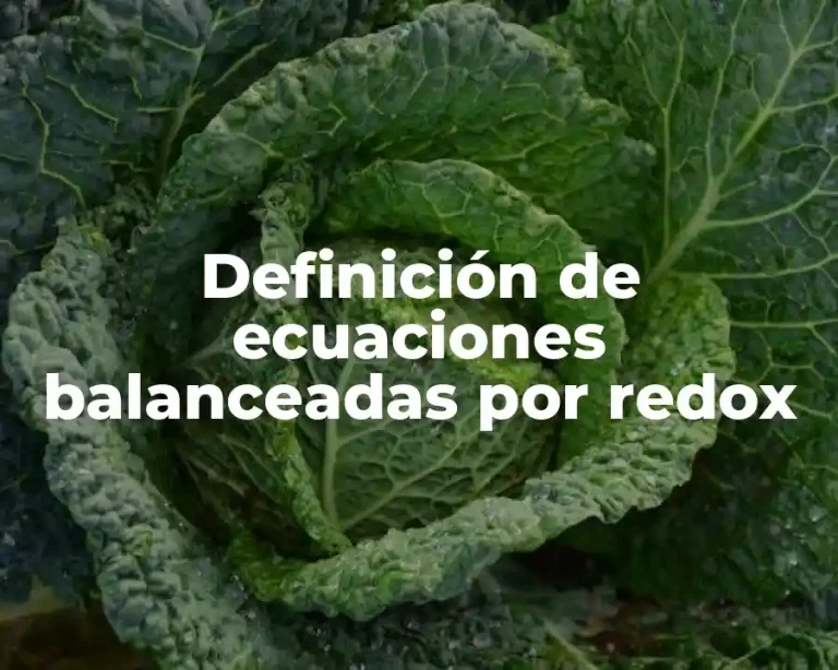 Definición de ecuaciones balanceadas por redox
