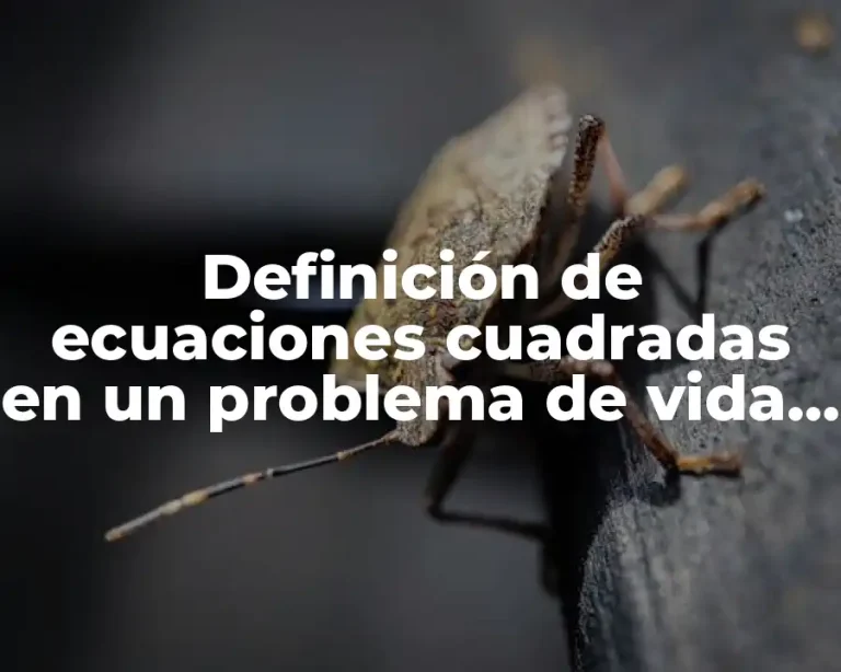 Definición de ecuaciones cuadradas en un problema de vida cotidiano