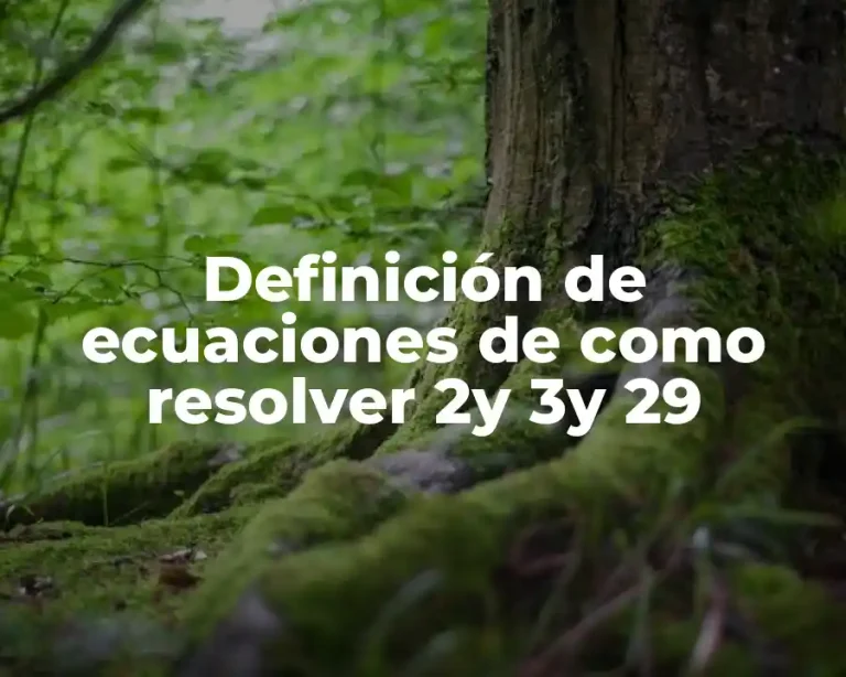 Definición de ecuaciones de como resolver 2y 3y 29