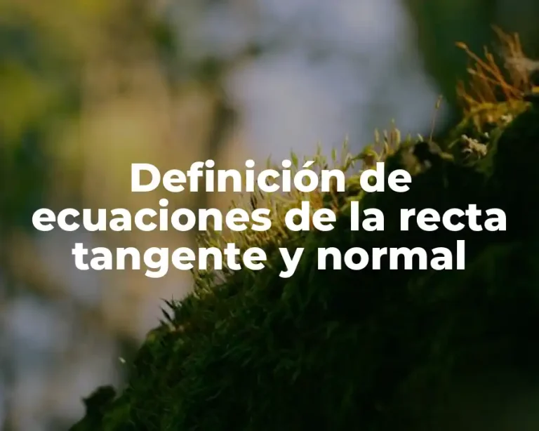 Definición de ecuaciones de la recta tangente y normal