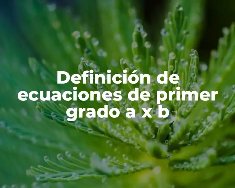 Definición de ecuaciones de primer grado a x b