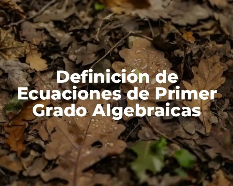 Definición de Ecuaciones de Primer Grado Algebraicas