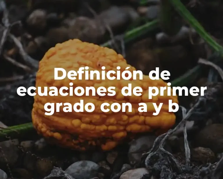 Definición de ecuaciones de primer grado con a y b